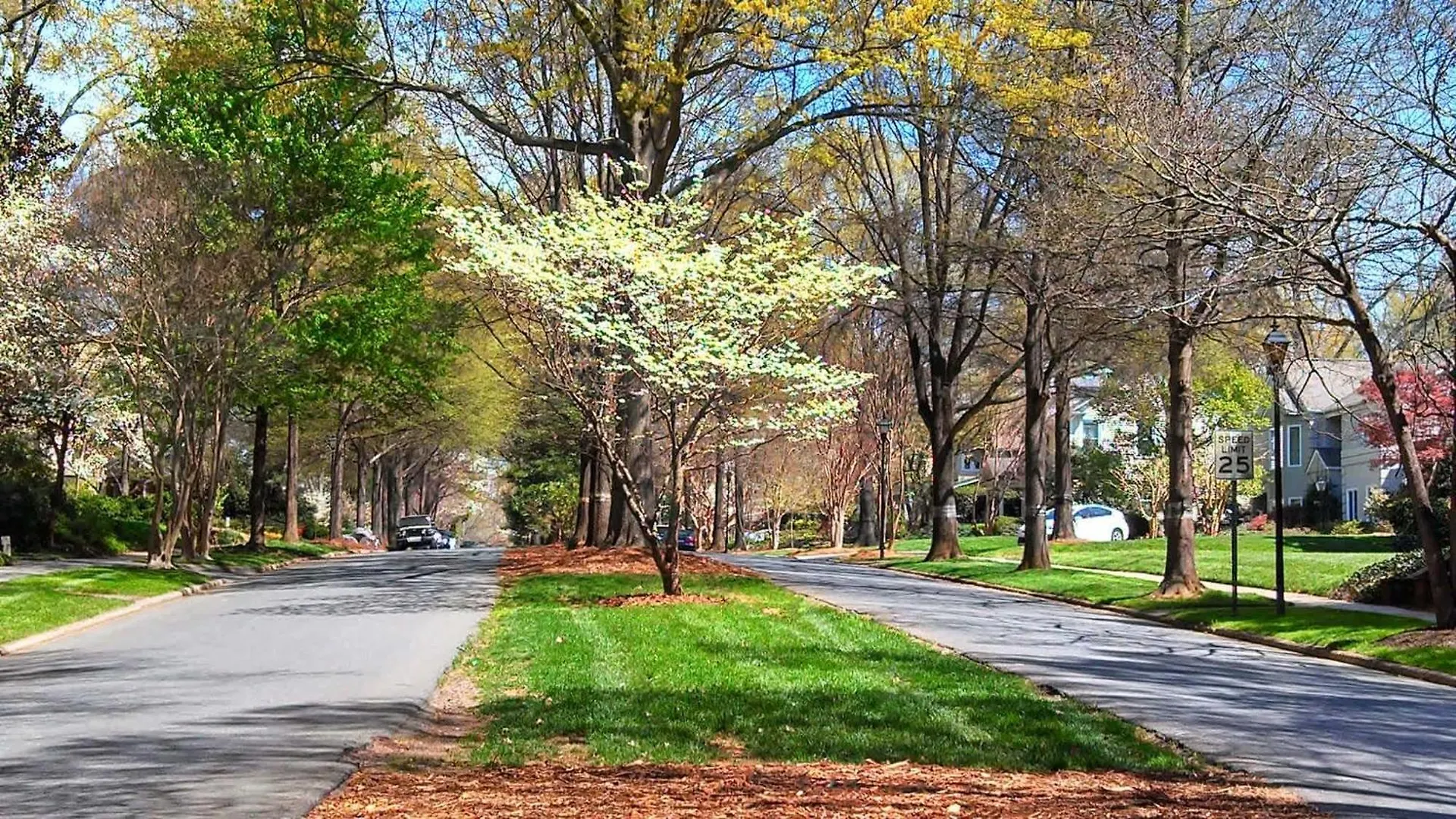 Stylish 1Br In Myers Park Villa Charlotte Holiday home