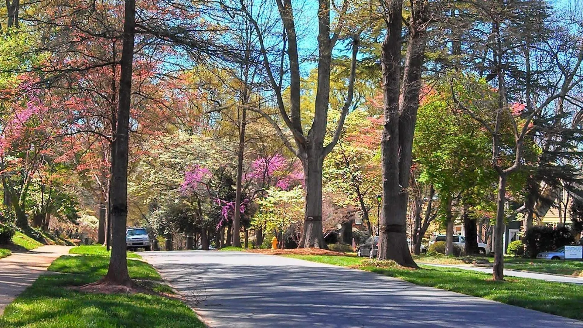 Holiday home Stylish 1Br In Myers Park Villa Charlotte United States